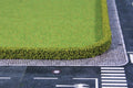 1751 - Flexible privet hedges / 2 pc / 12x7 mm